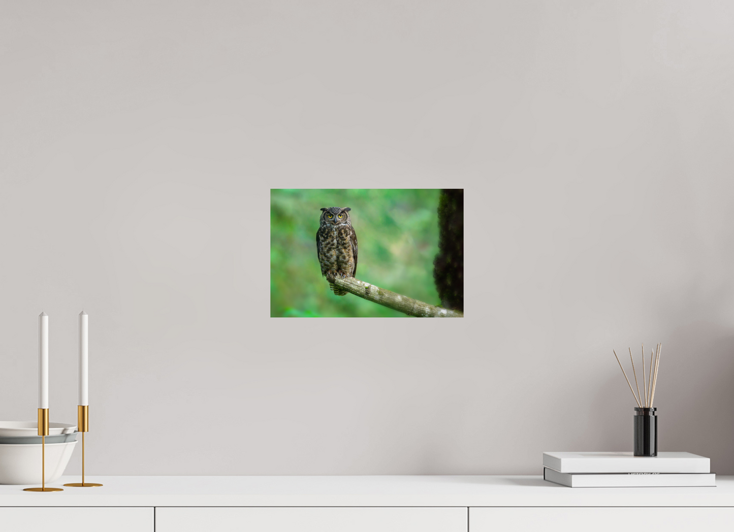 Great Horned Owl