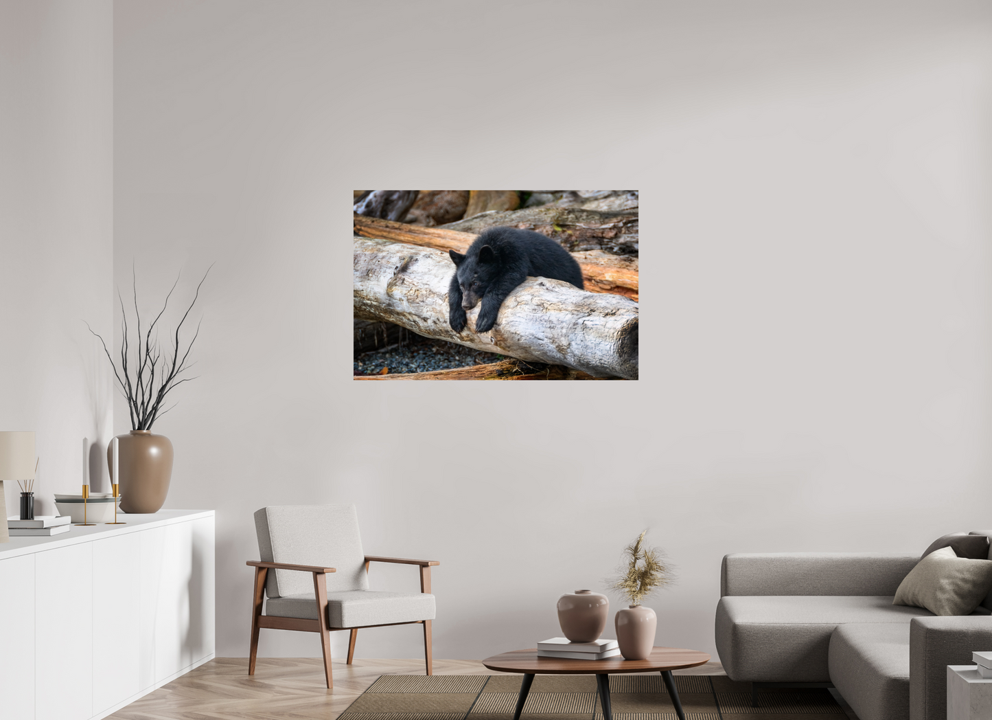 Black Bear Cub