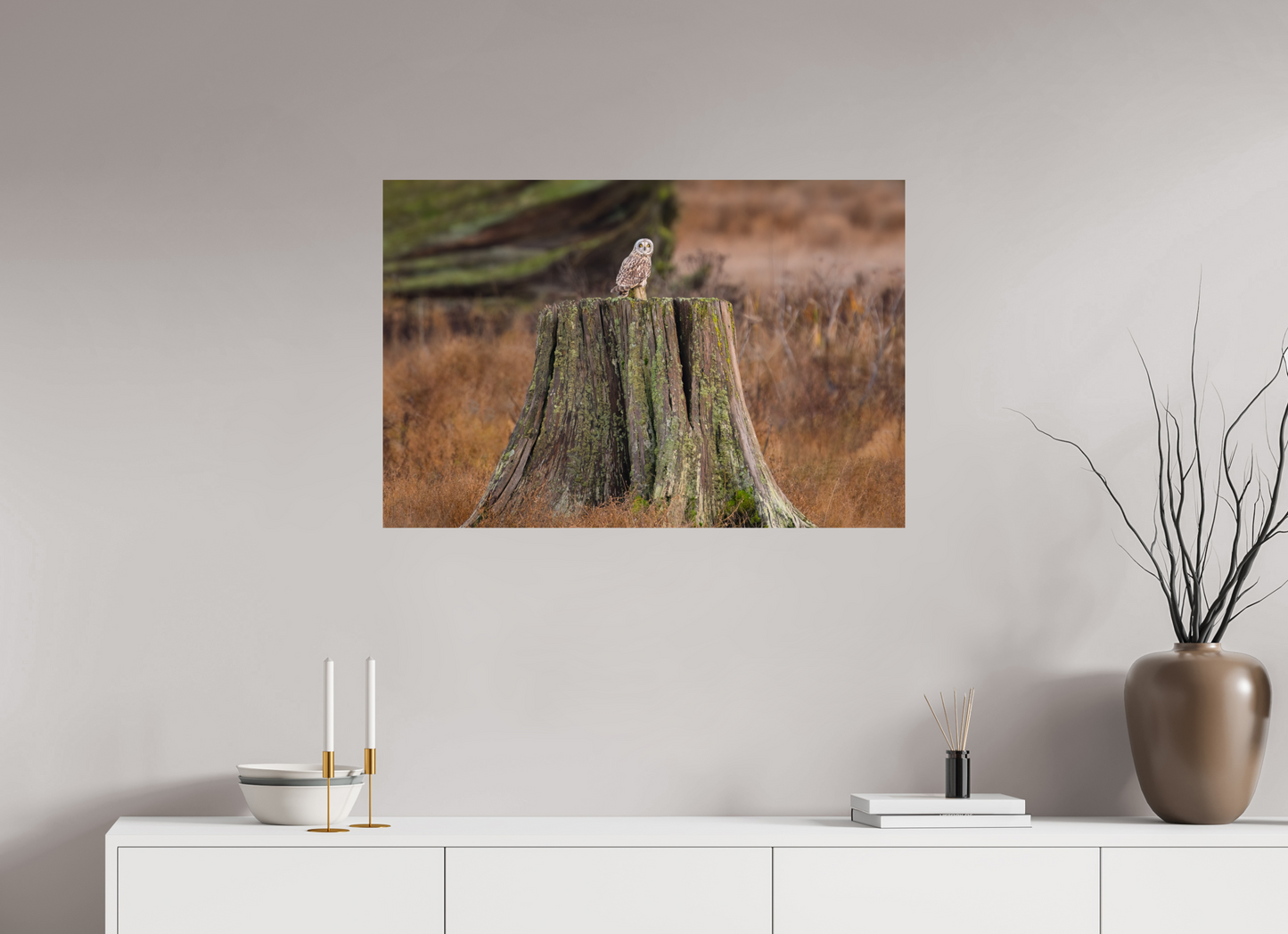 Short-Eared Owl On Tree Stump