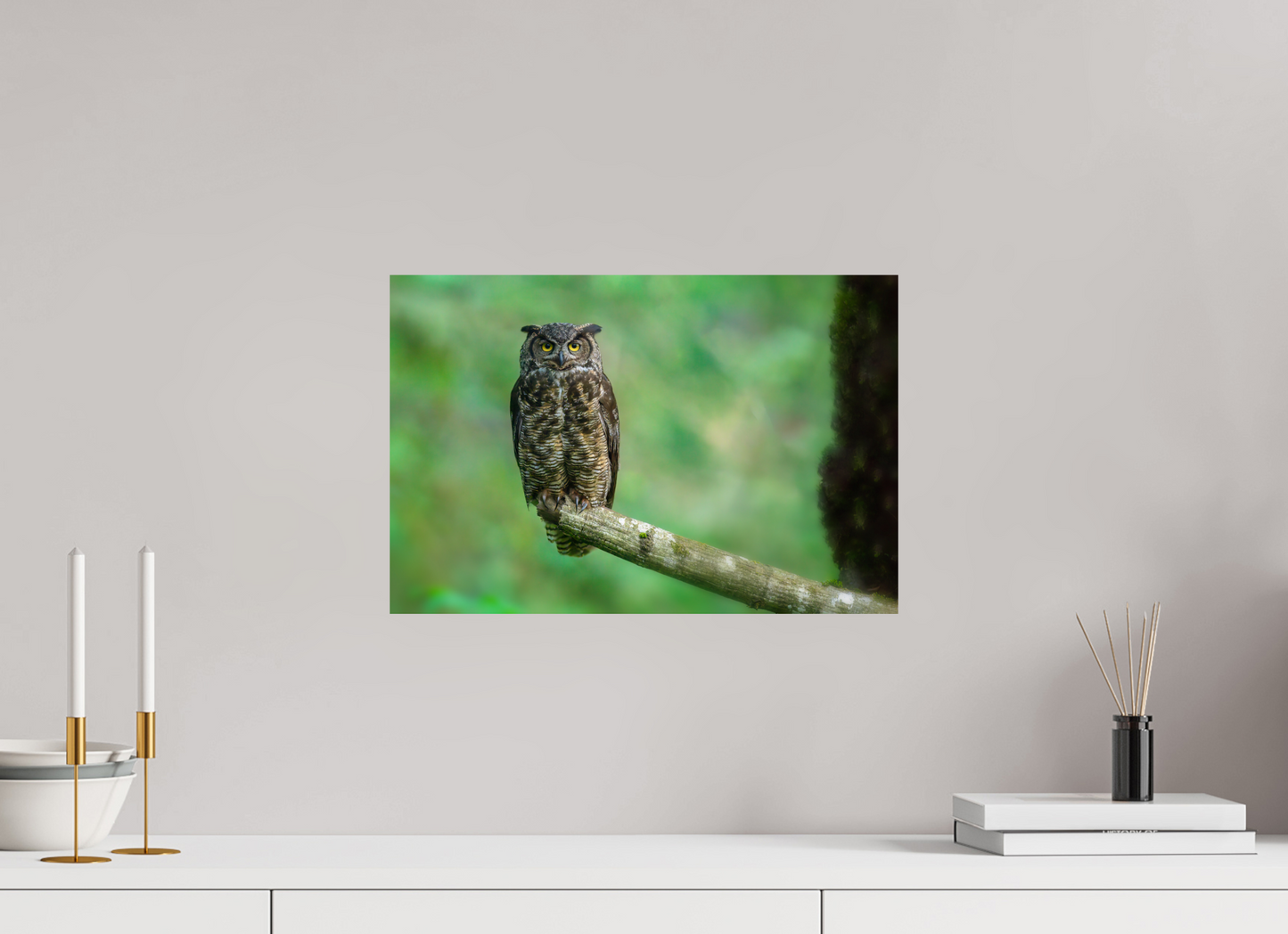 Great Horned Owl