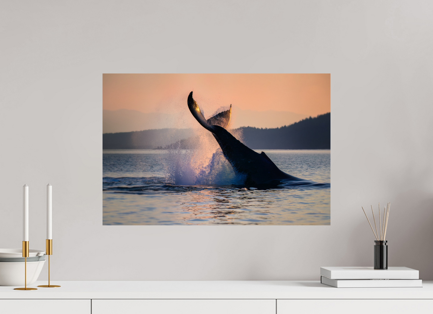Humpback Whale