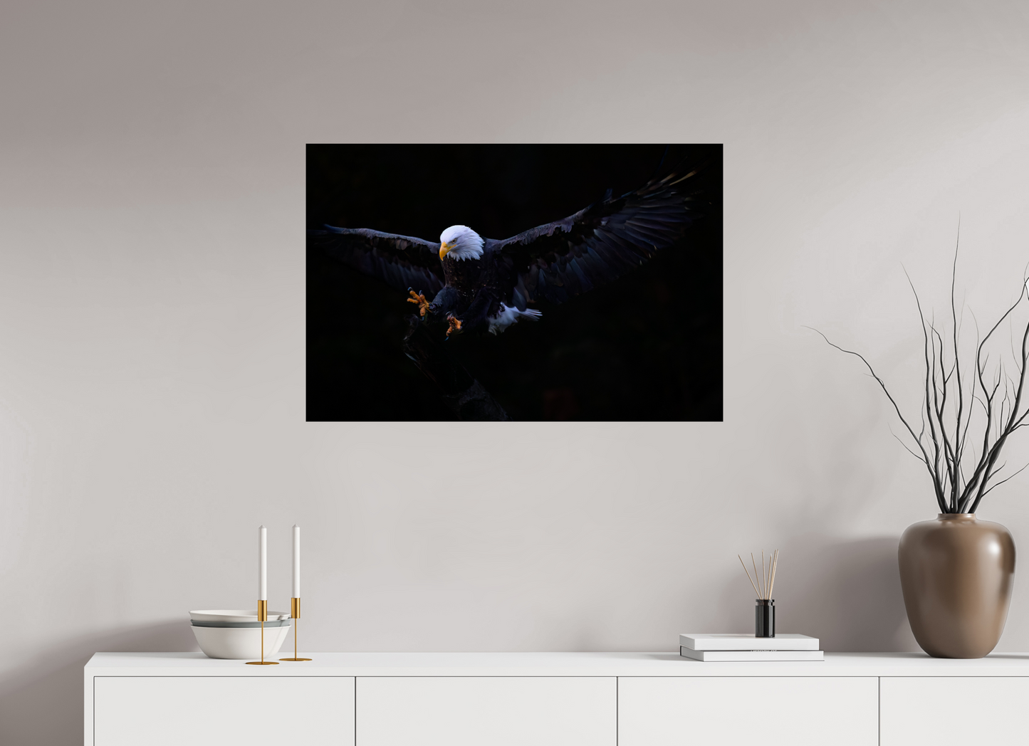 Bald Eagle in Flight