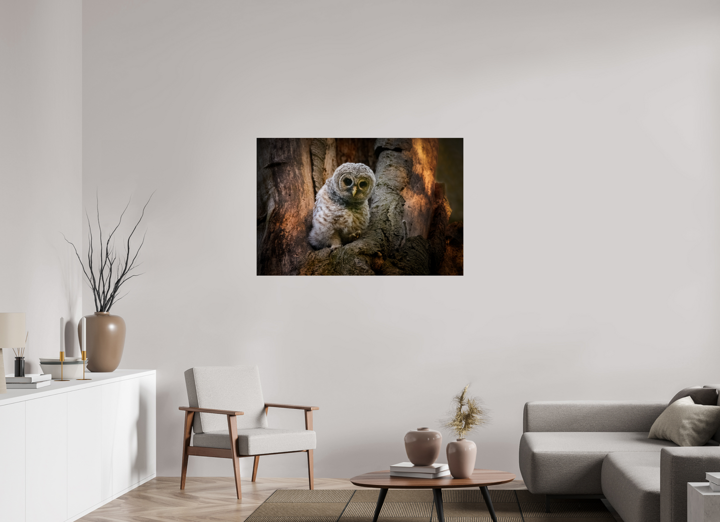 Barred Owlet