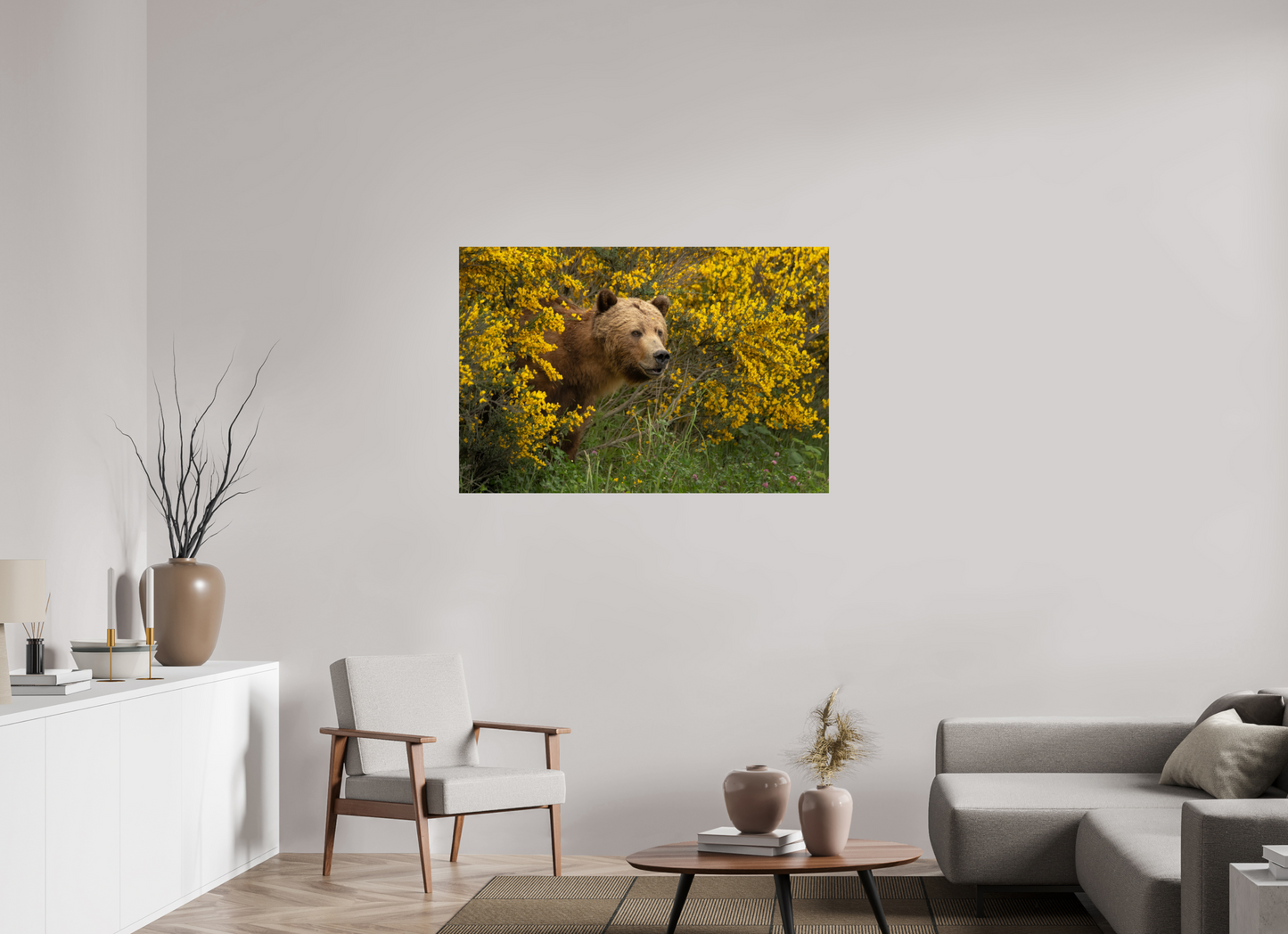 Curious Grizzly Bear
