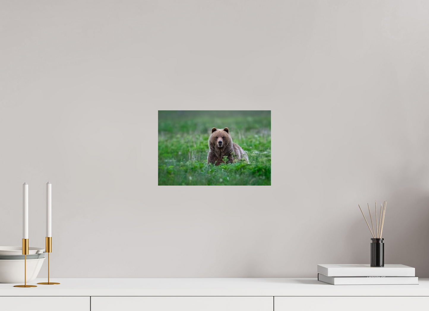 Grizzly Bear