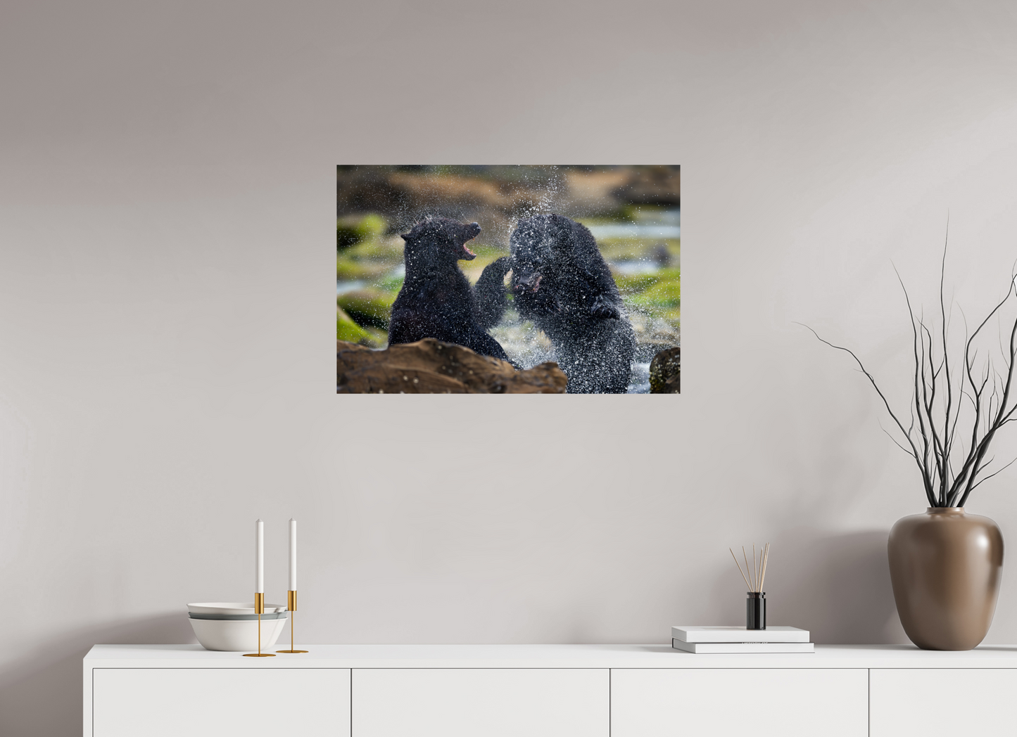 Black Bears Fighting