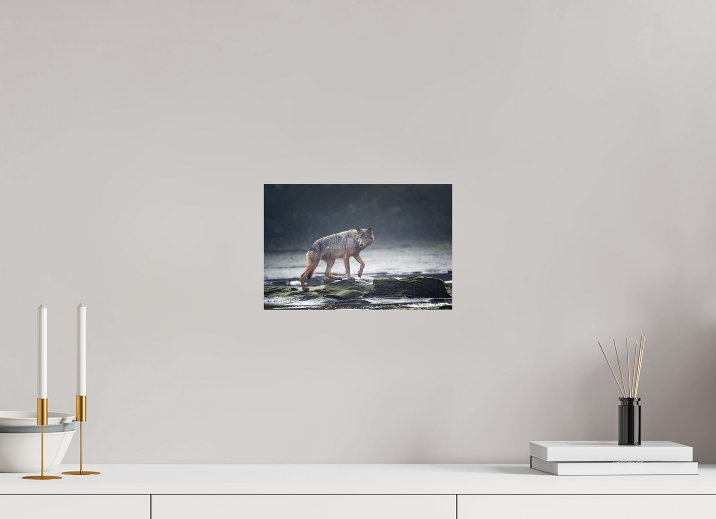 Coastal Wolf