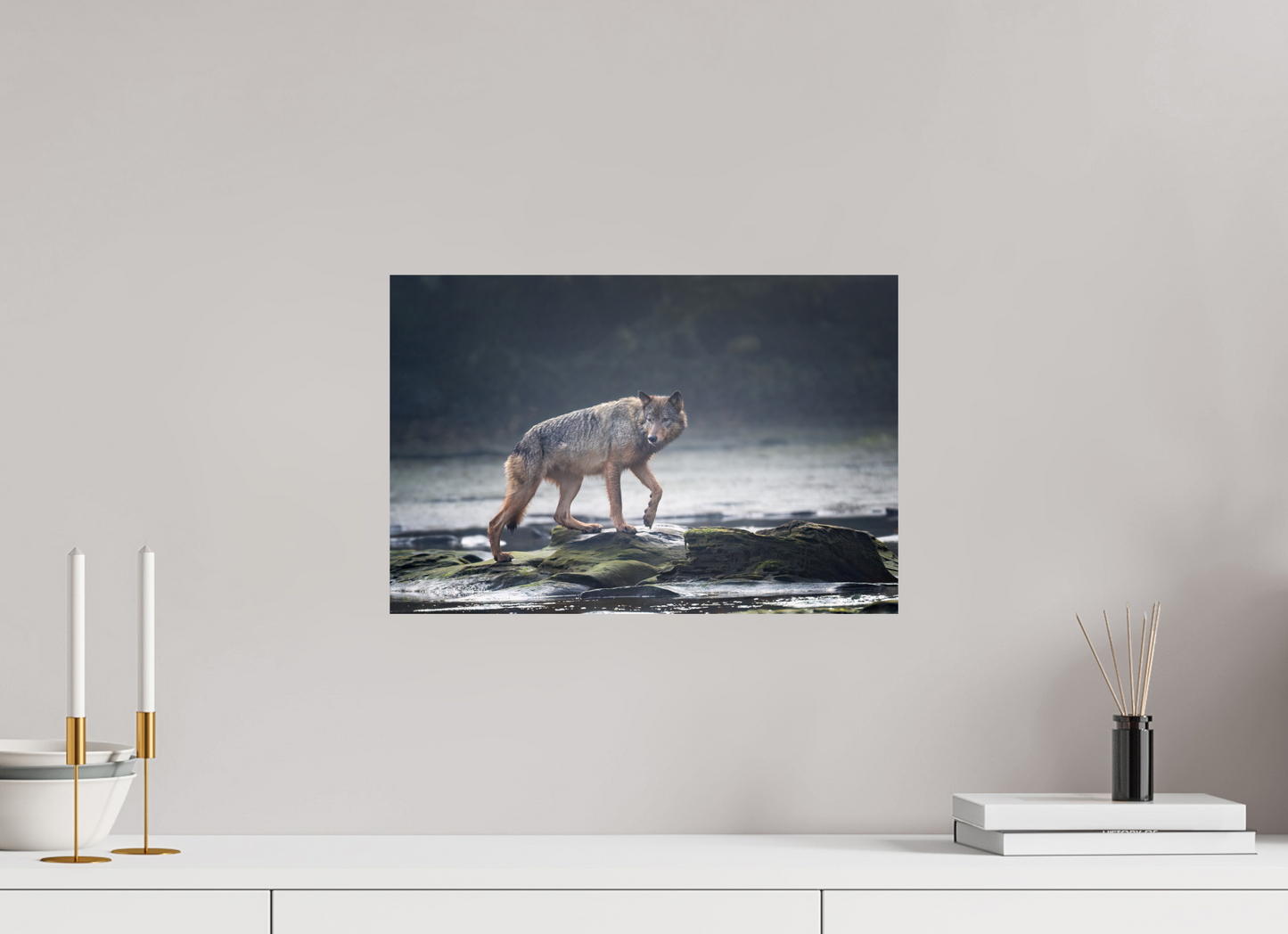 Coastal Wolf