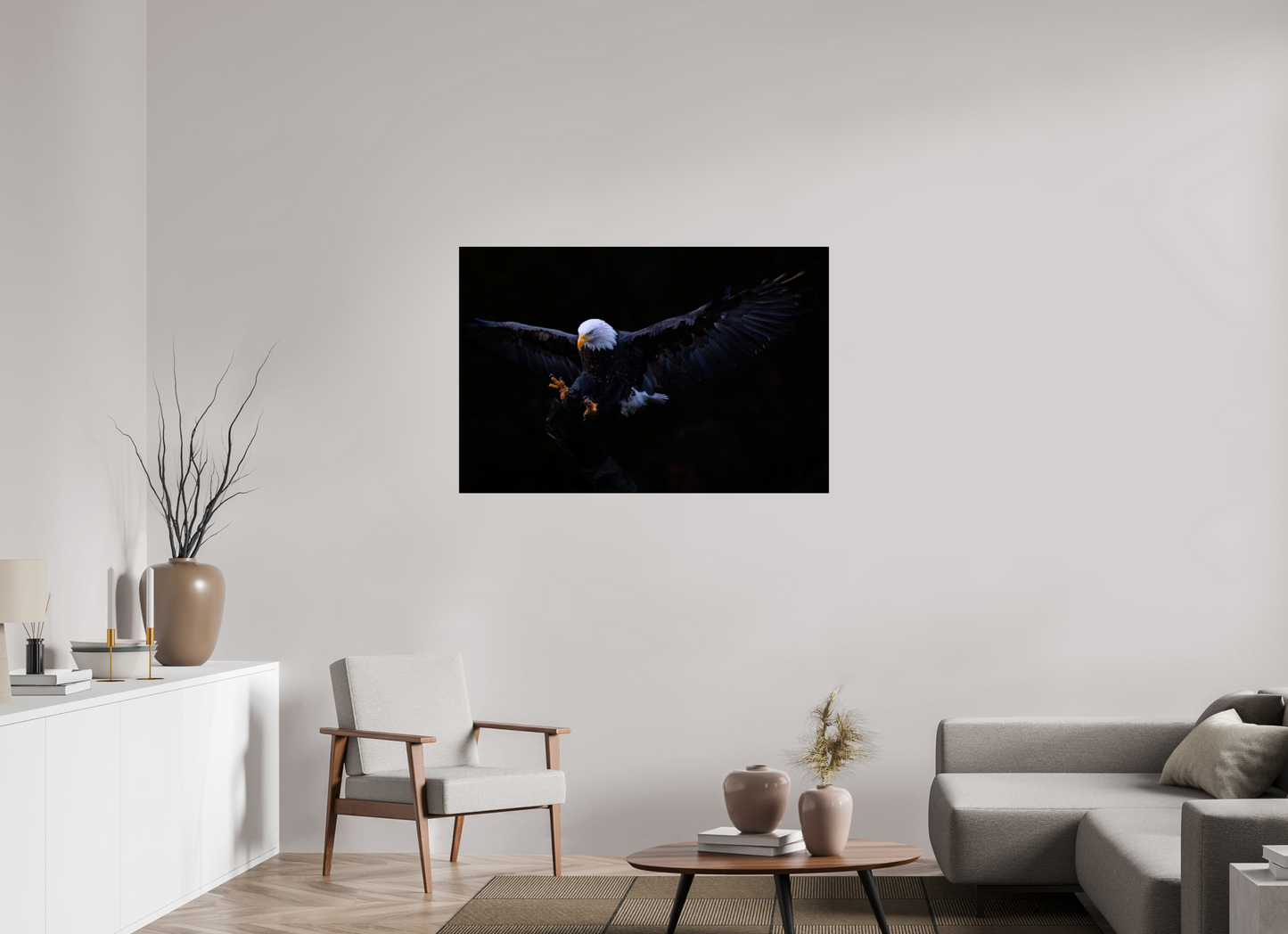 Bald Eagle in Flight