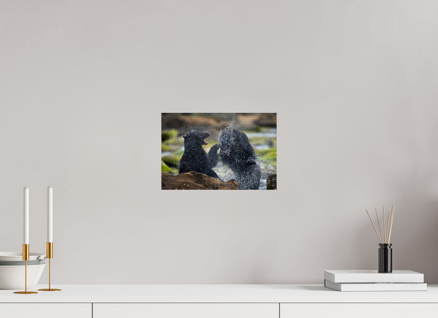 Black Bears Fighting