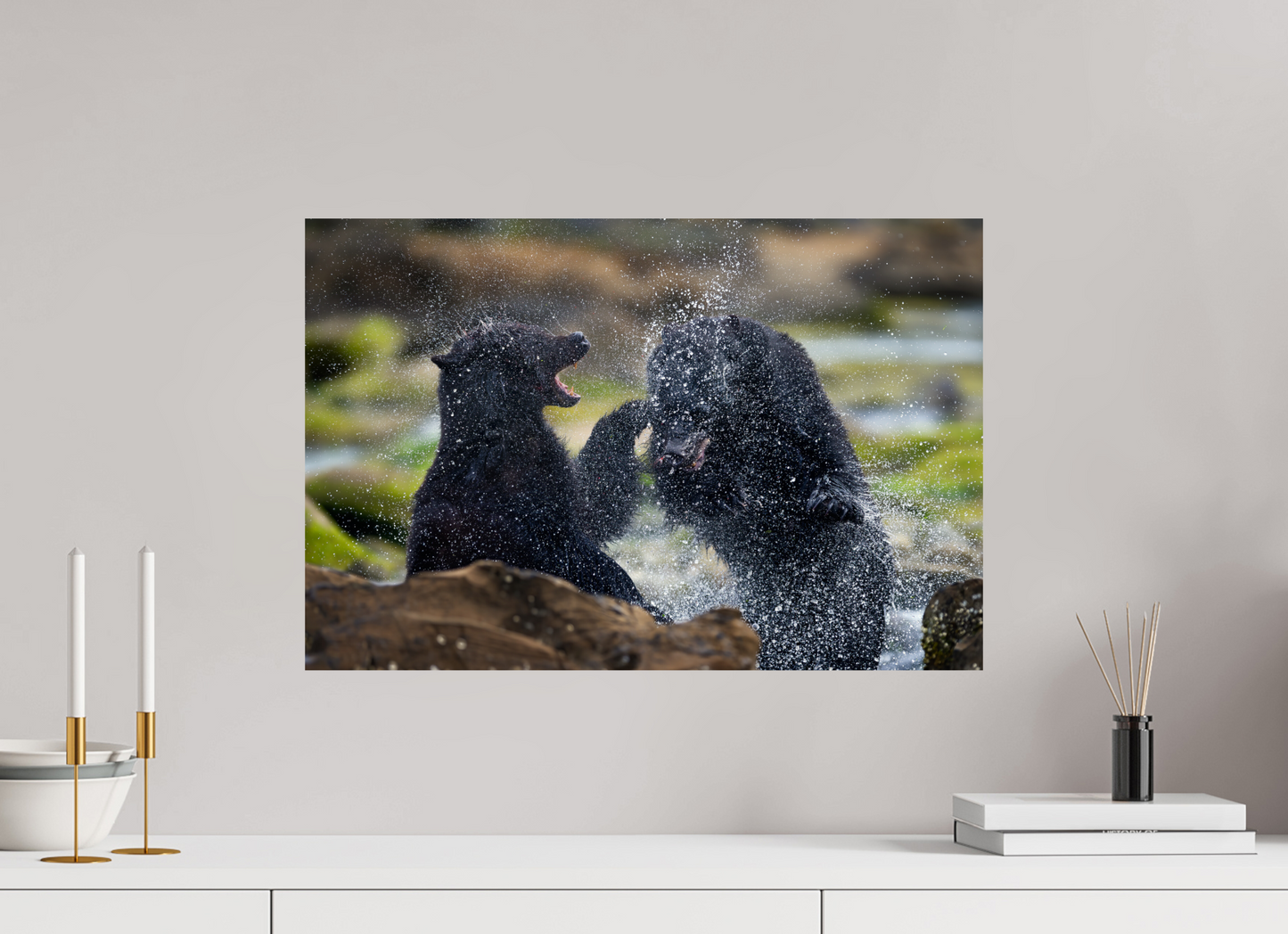 Black Bears Fighting