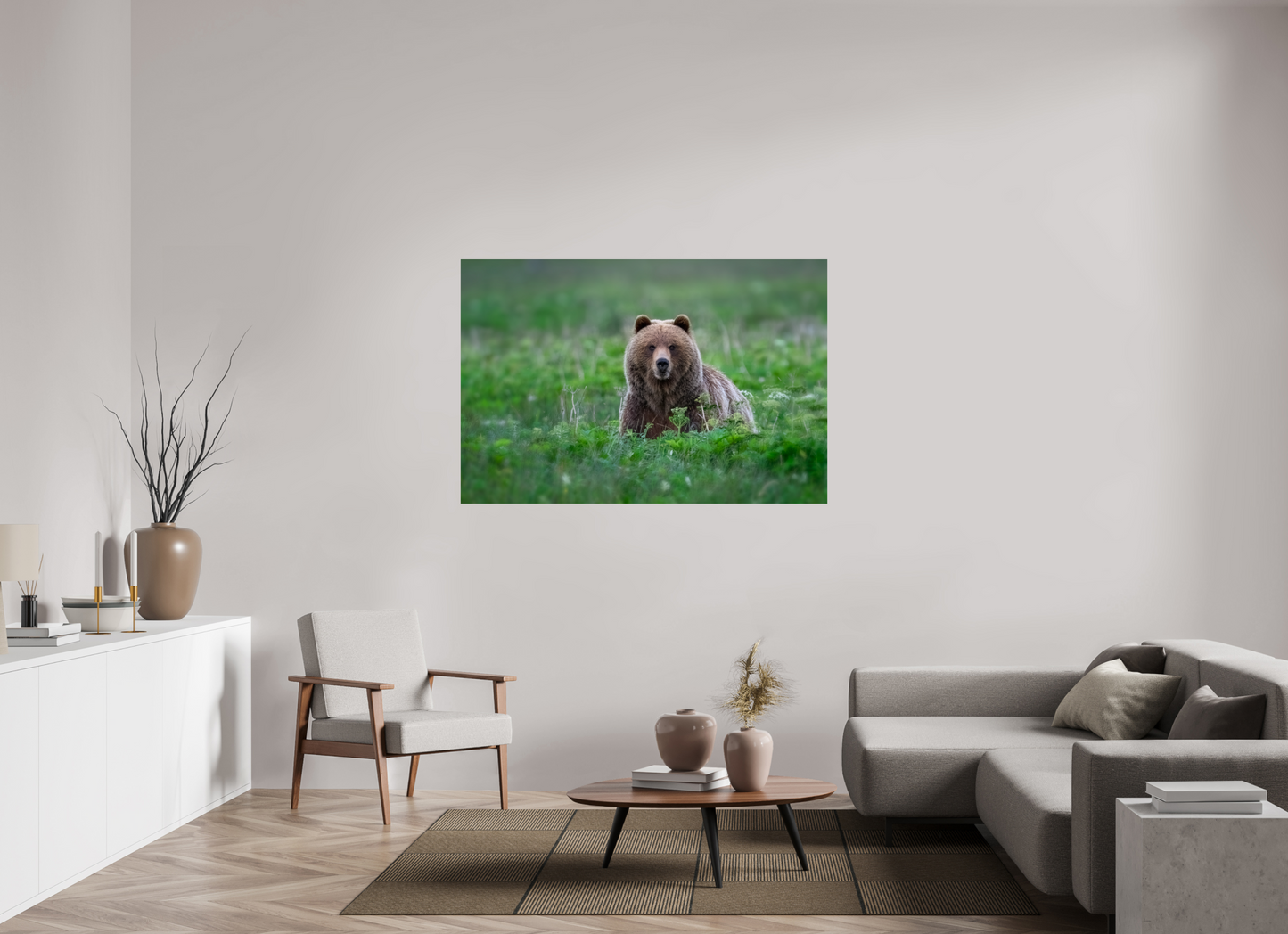 Grizzly Bear
