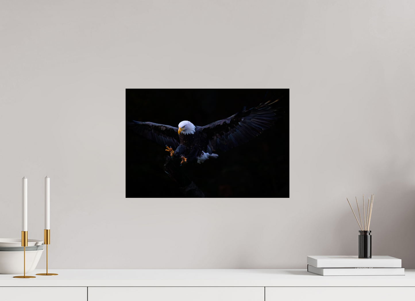 Bald Eagle in Flight
