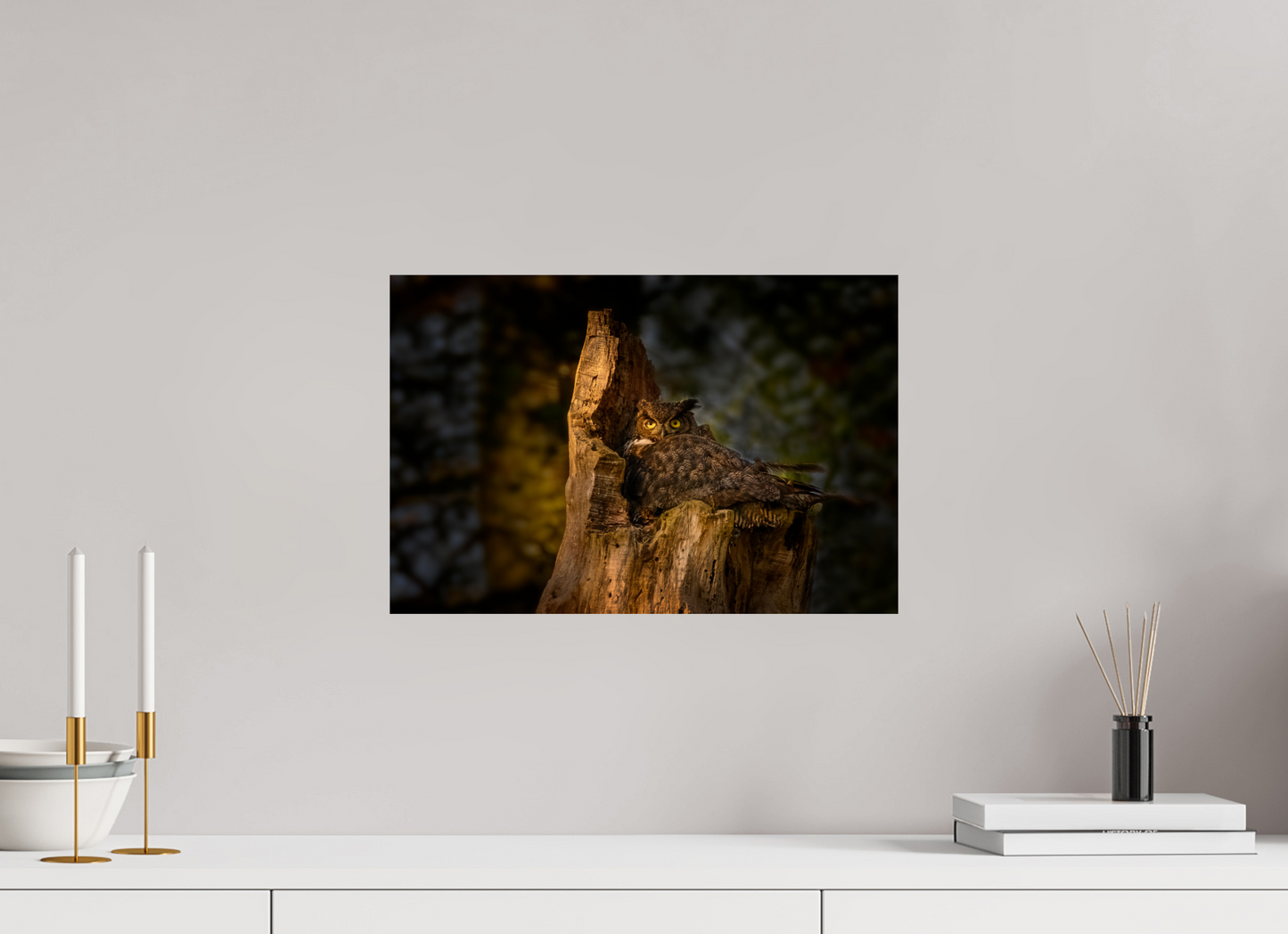 Great Horned Owl