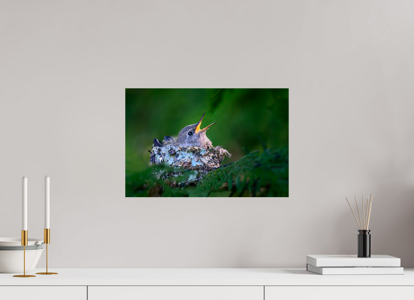 Hummingbird Chick In Nest