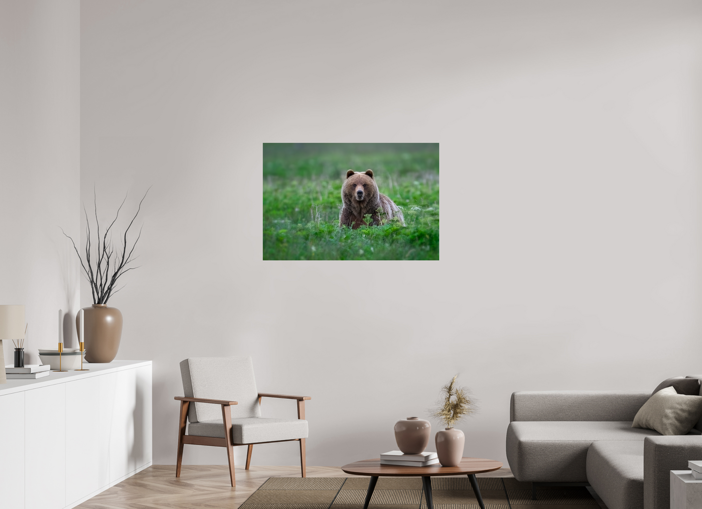 Grizzly Bear
