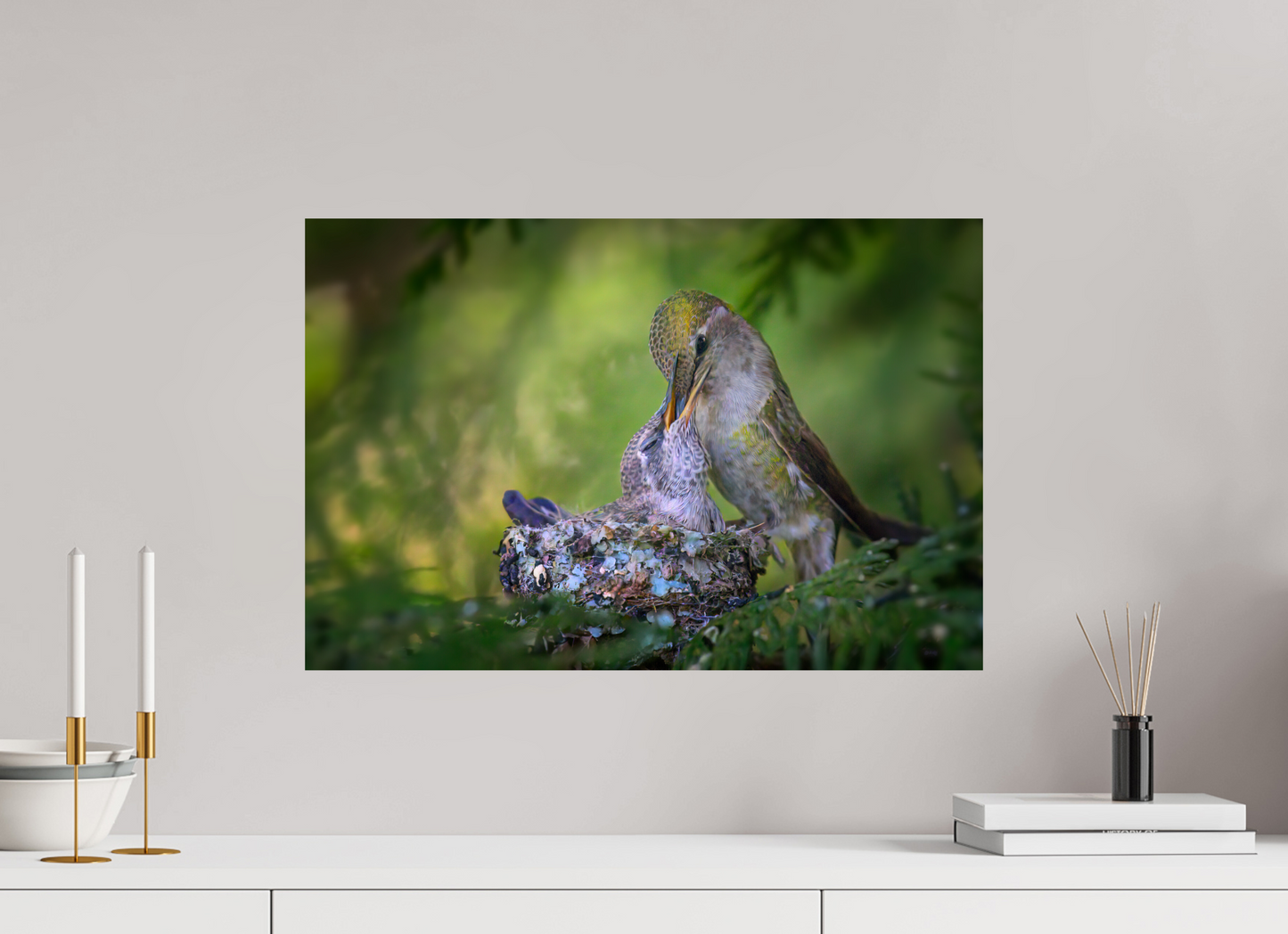 Hummingbird Feeding Its Chick