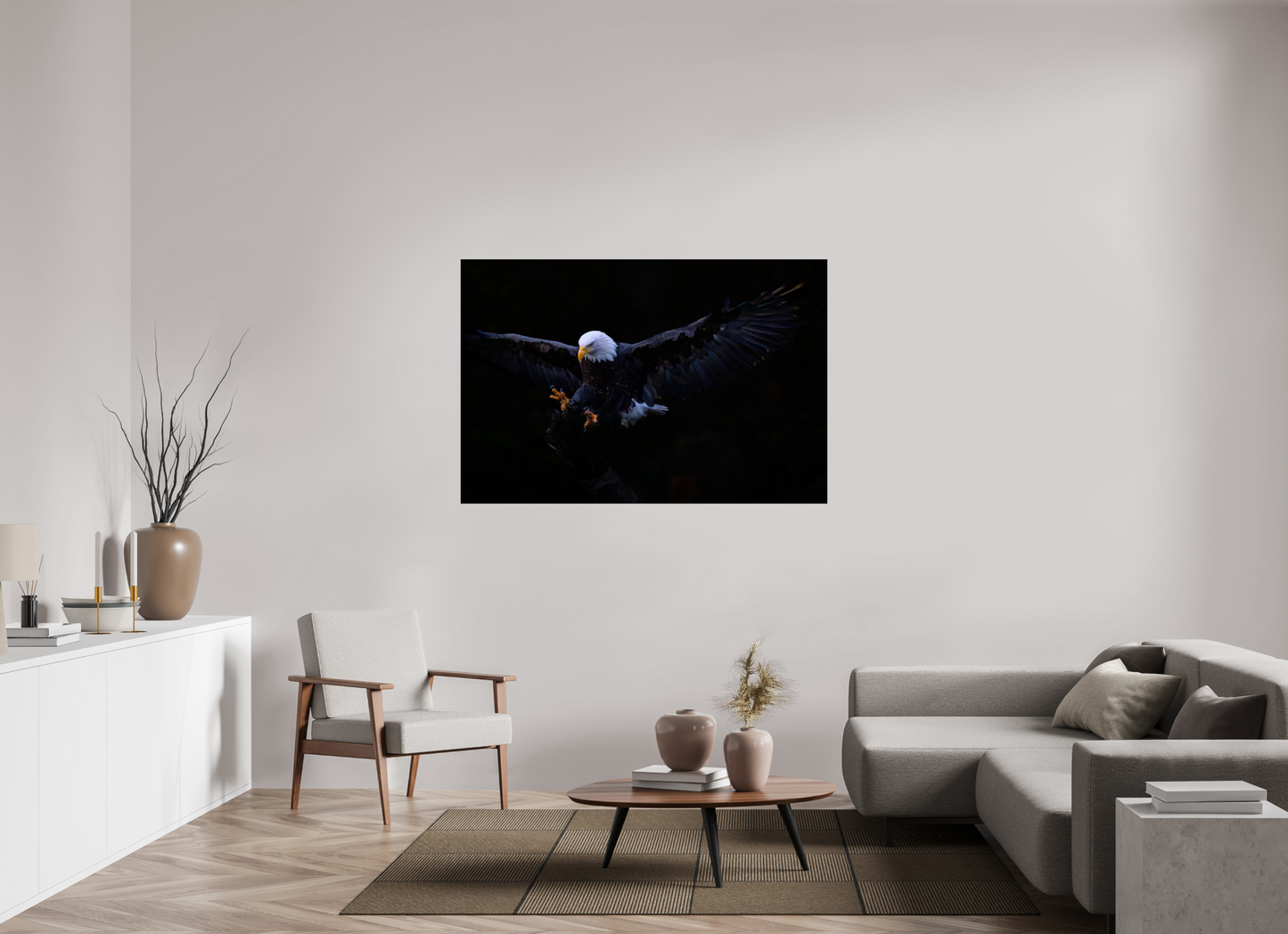 Bald Eagle in Flight