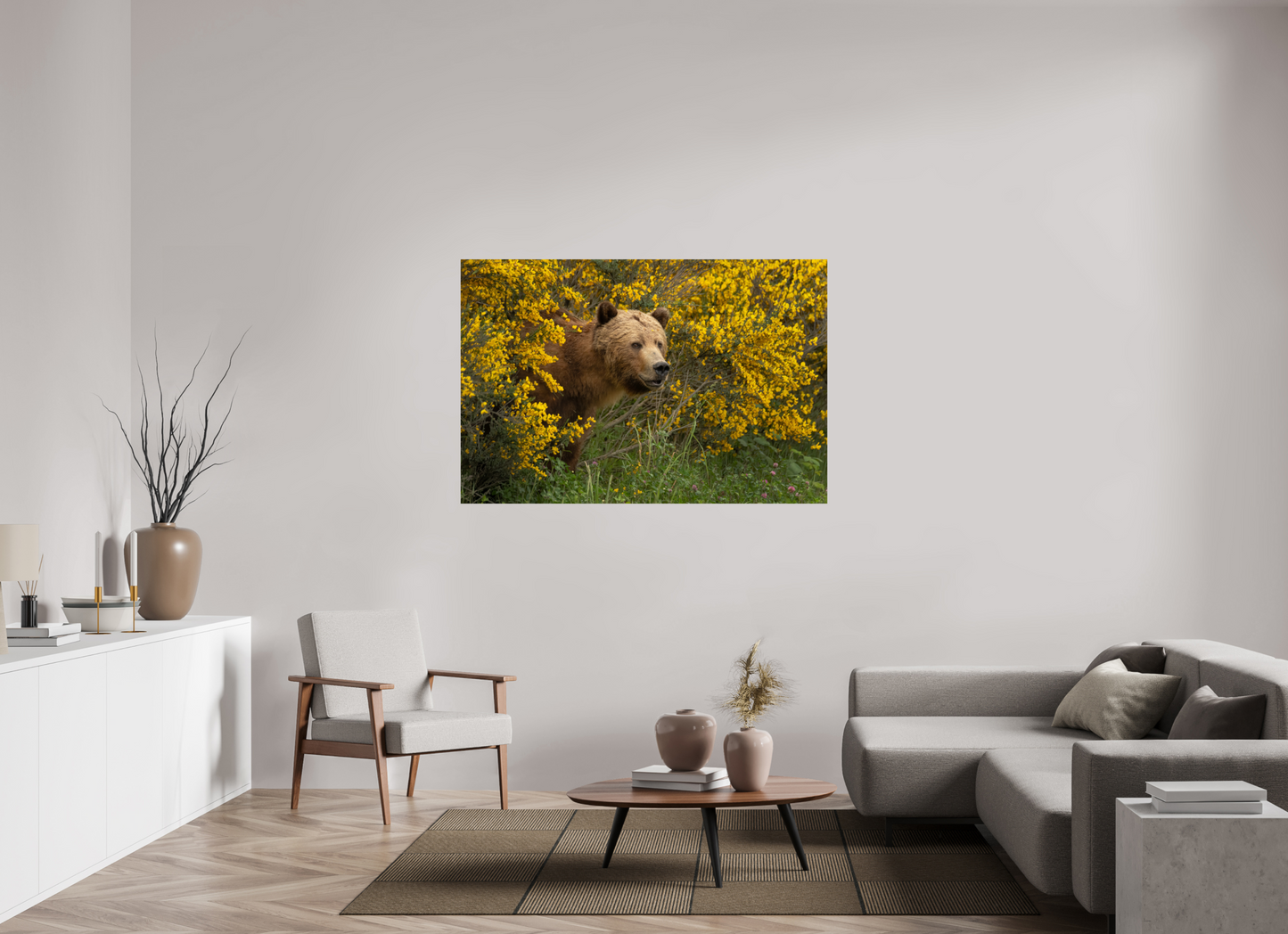 Curious Grizzly Bear