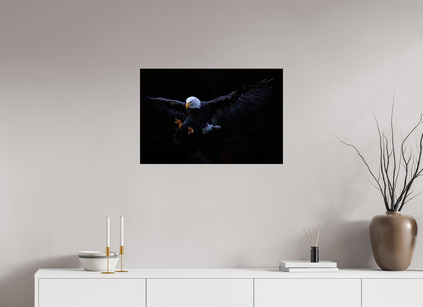 Bald Eagle in Flight