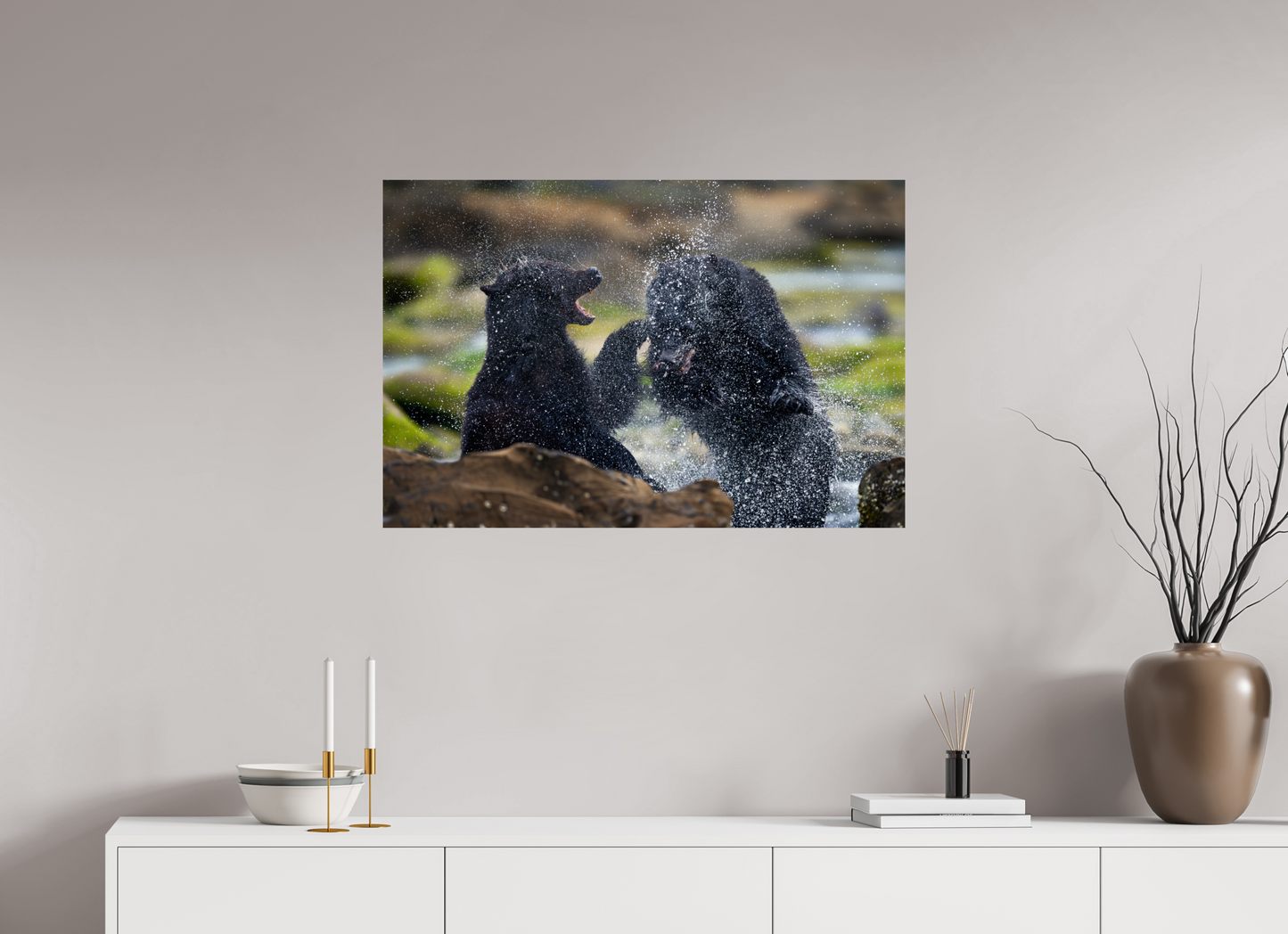 Black Bears Fighting