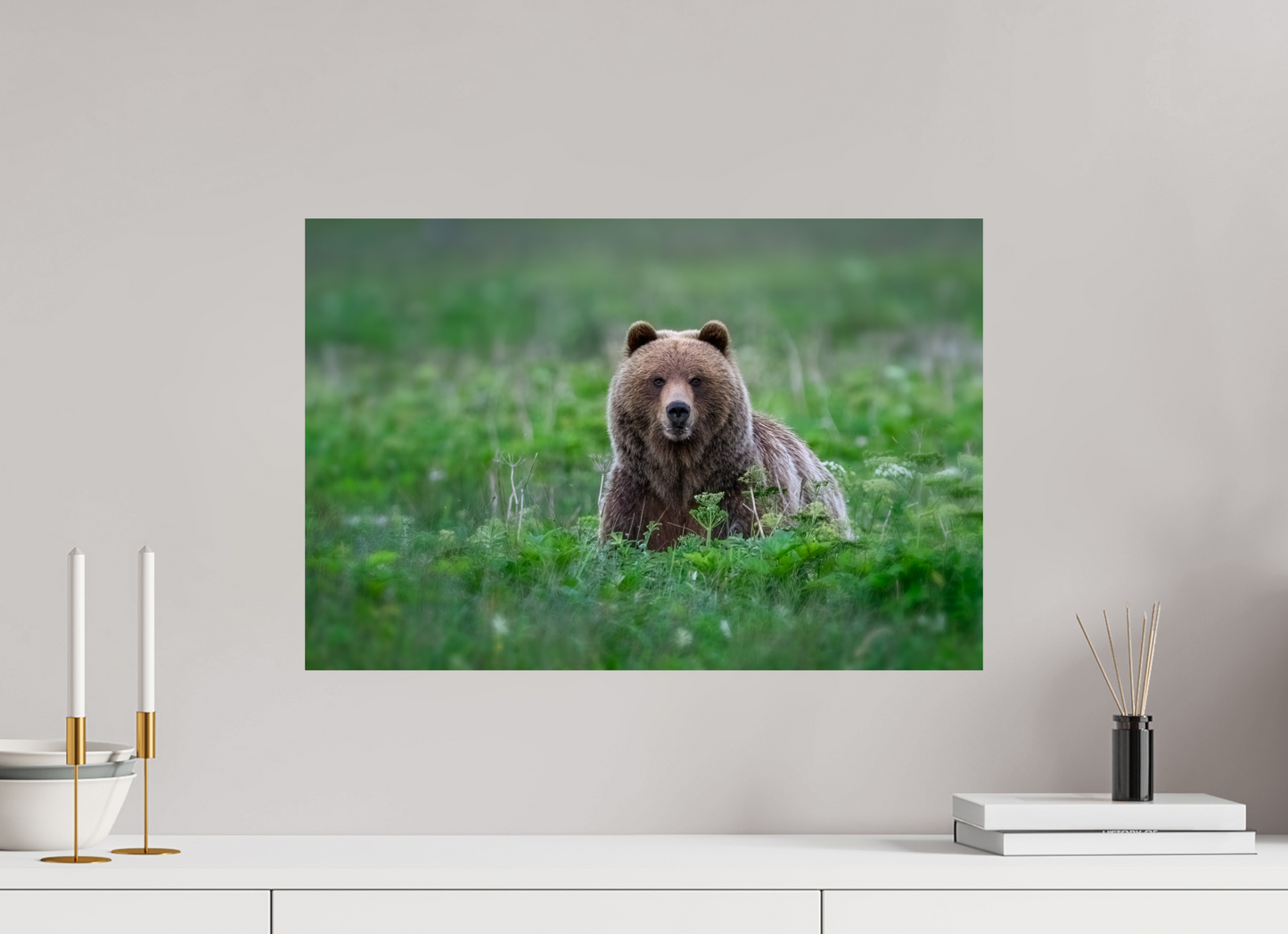Grizzly Bear