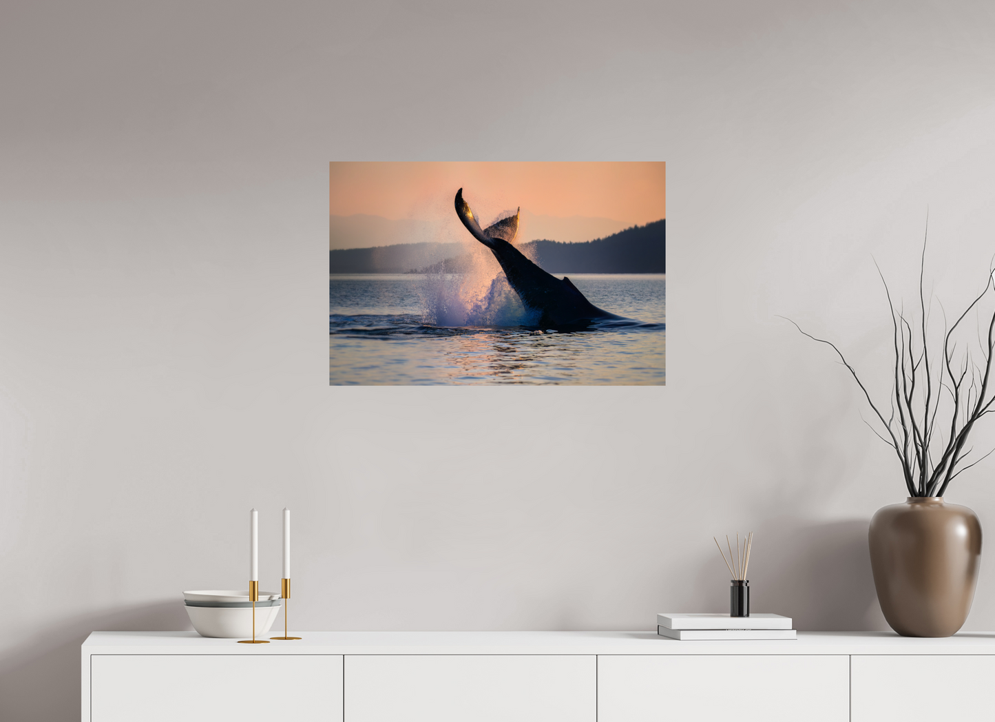 Humpback Whale