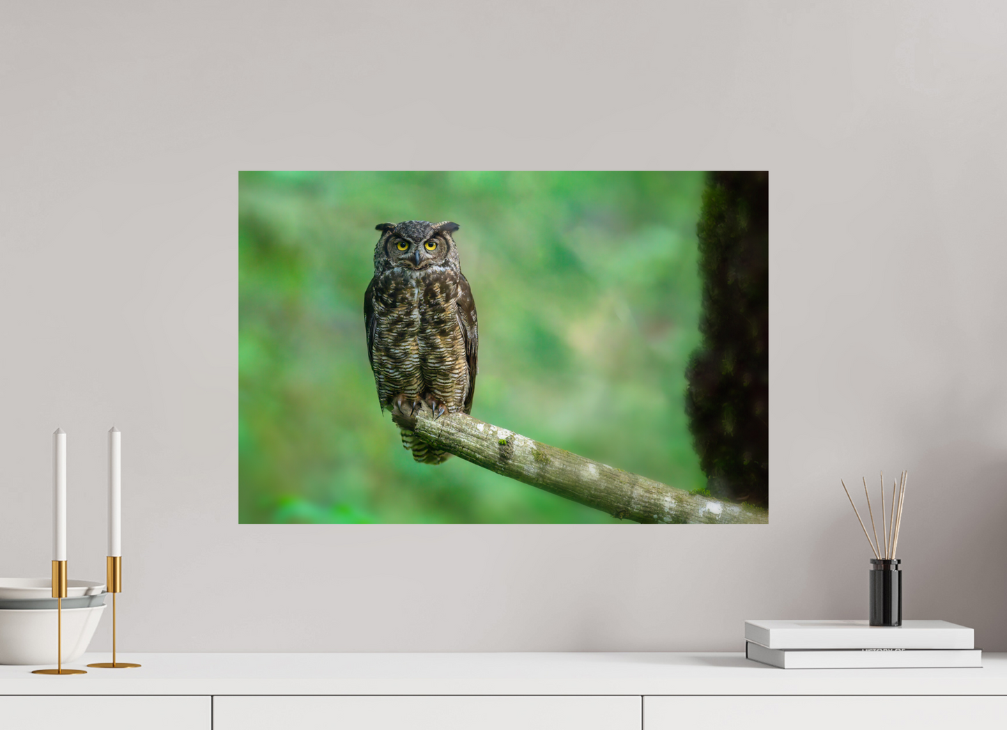 Great Horned Owl