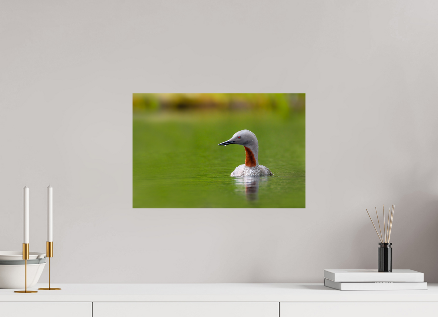 Red-Throated Loon