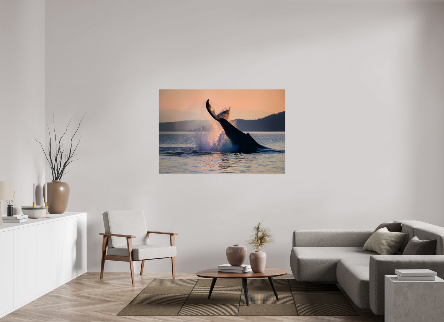 Humpback Whale