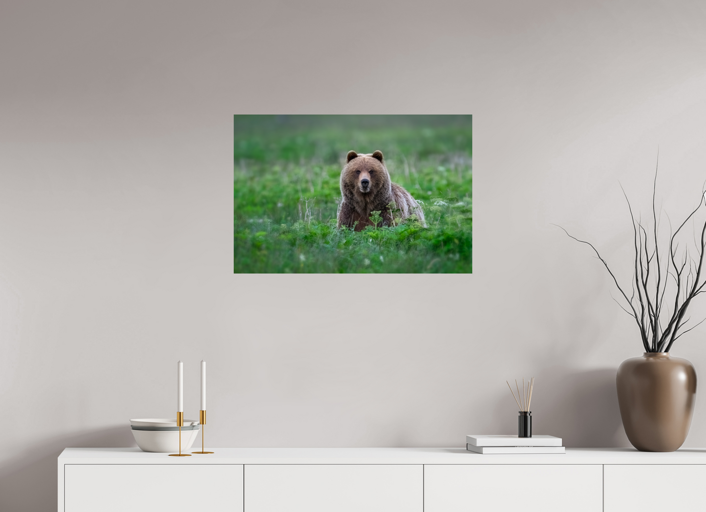 Grizzly Bear