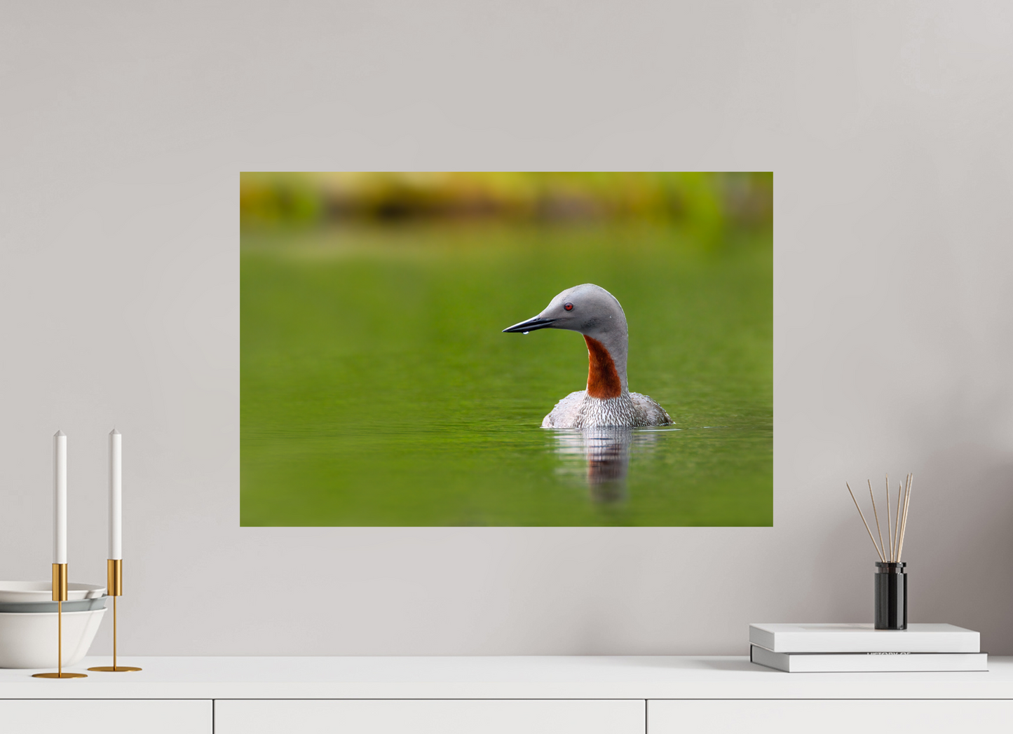 Red-Throated Loon