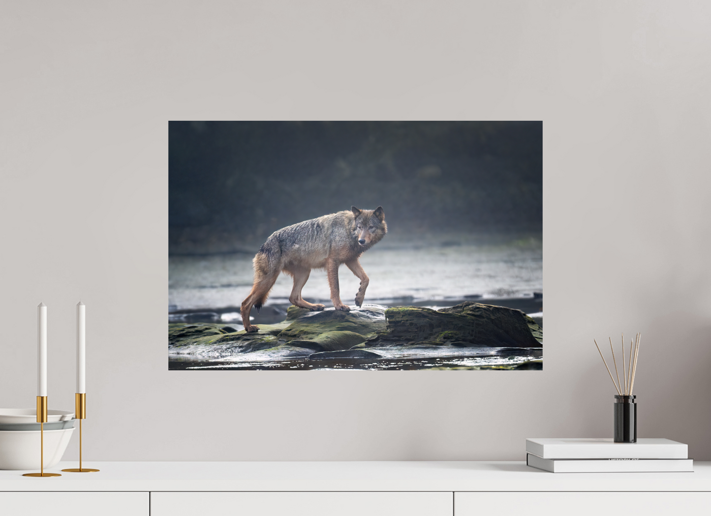 Coastal Wolf