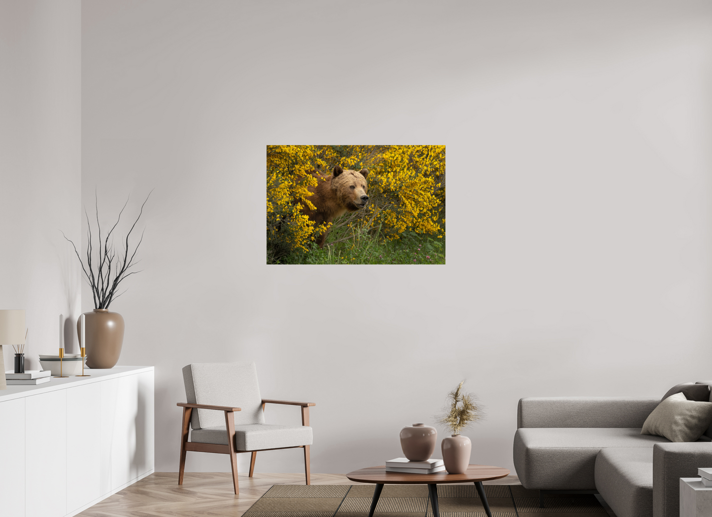 Curious Grizzly Bear