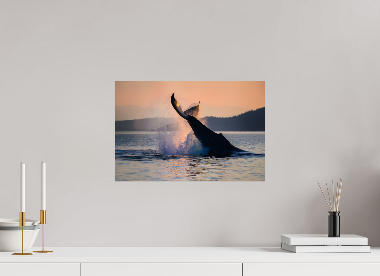Humpback Whale