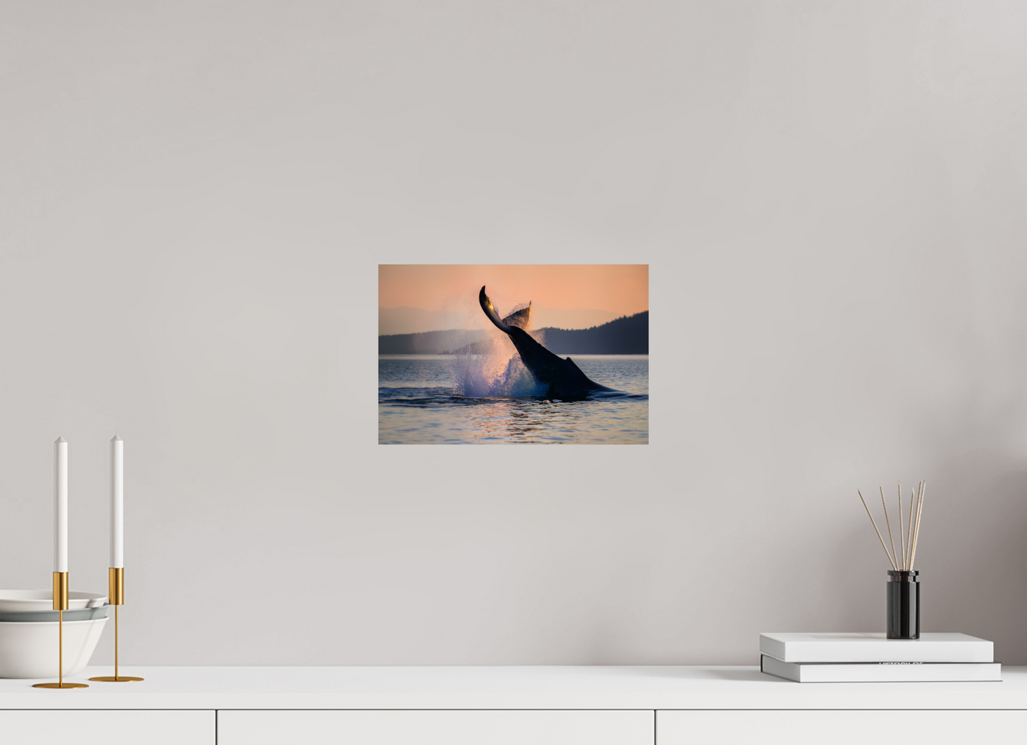 Humpback Whale