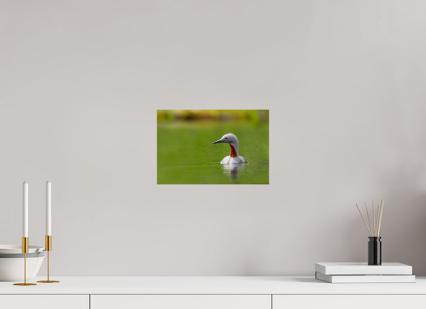 Red-Throated Loon