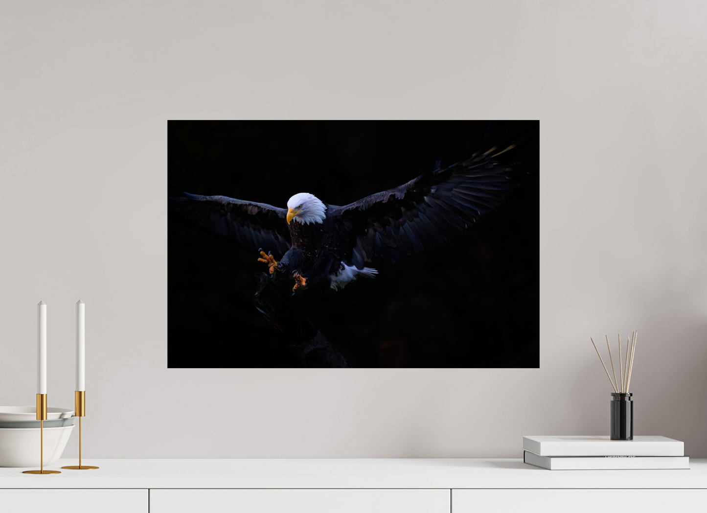 Bald Eagle in Flight