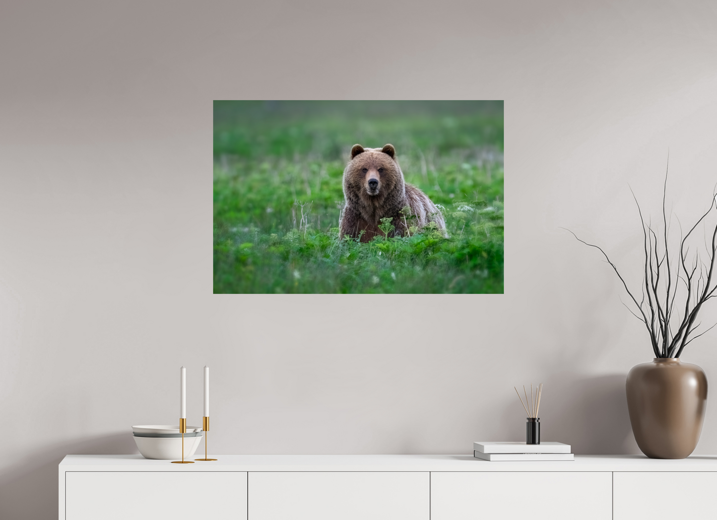 Grizzly Bear