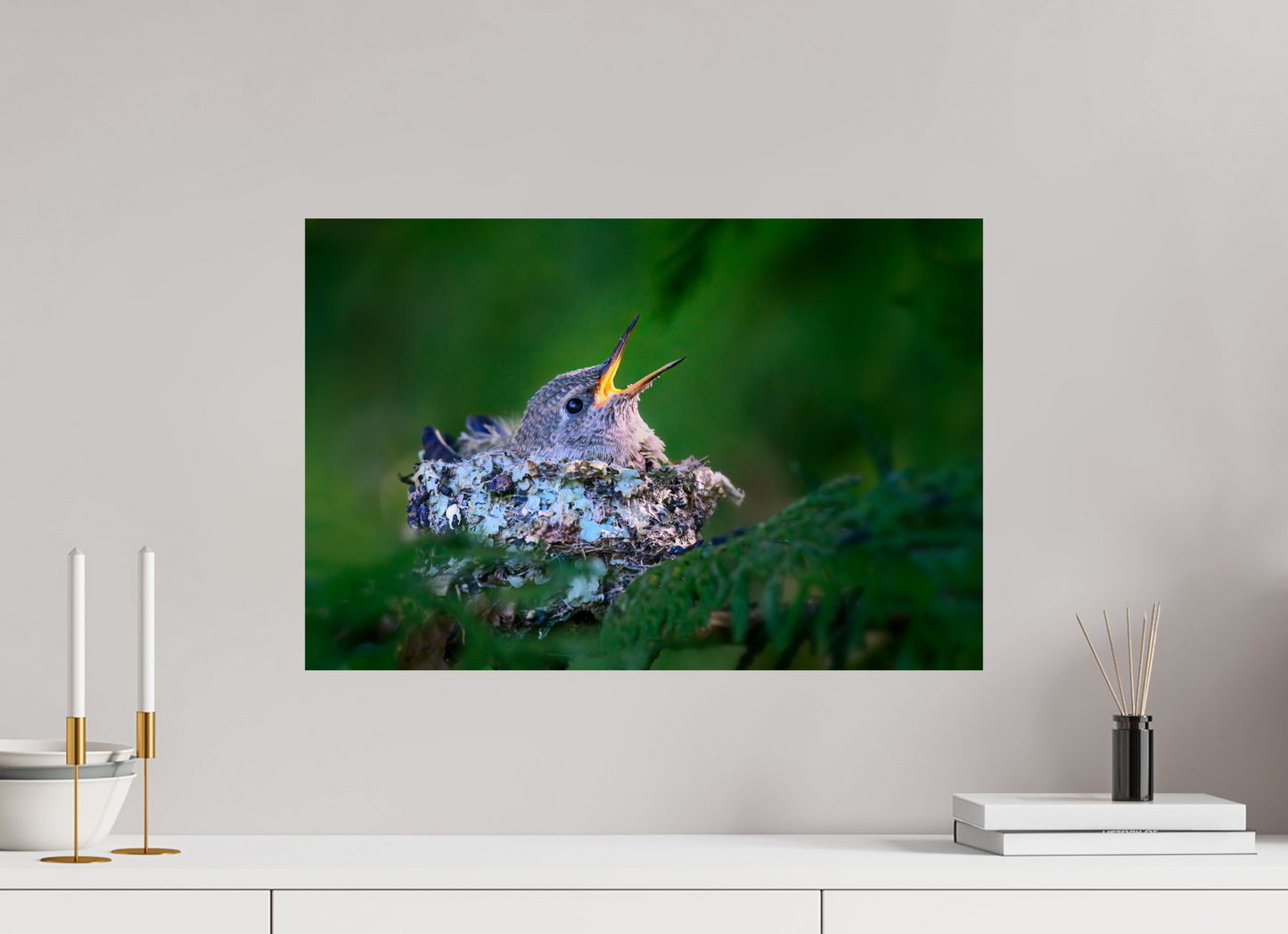 Hummingbird Chick In Nest