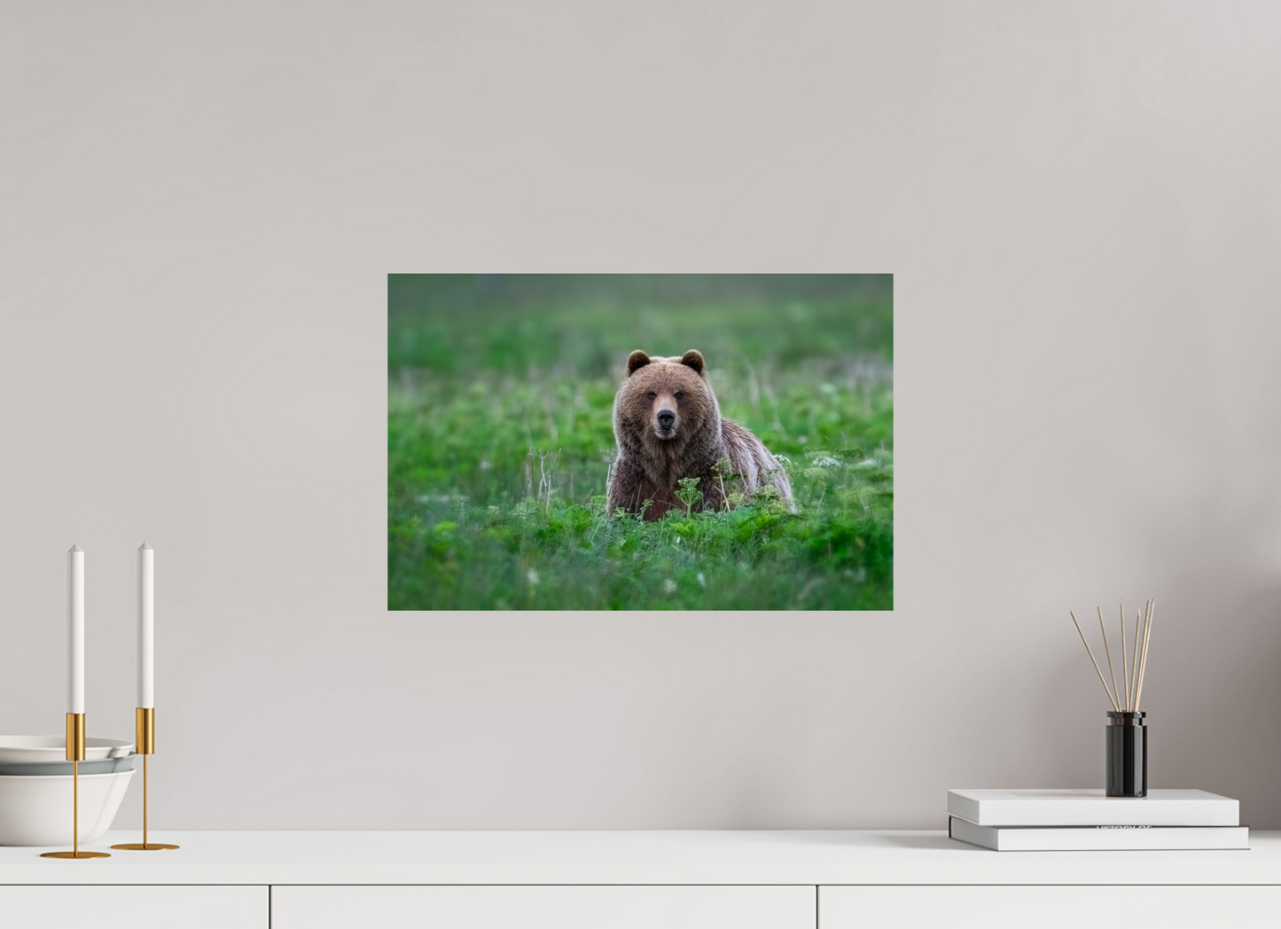 Grizzly Bear